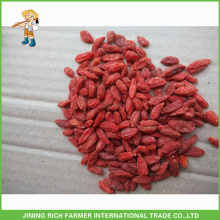 Ningxia Origin Traditional Dry Goji Berry